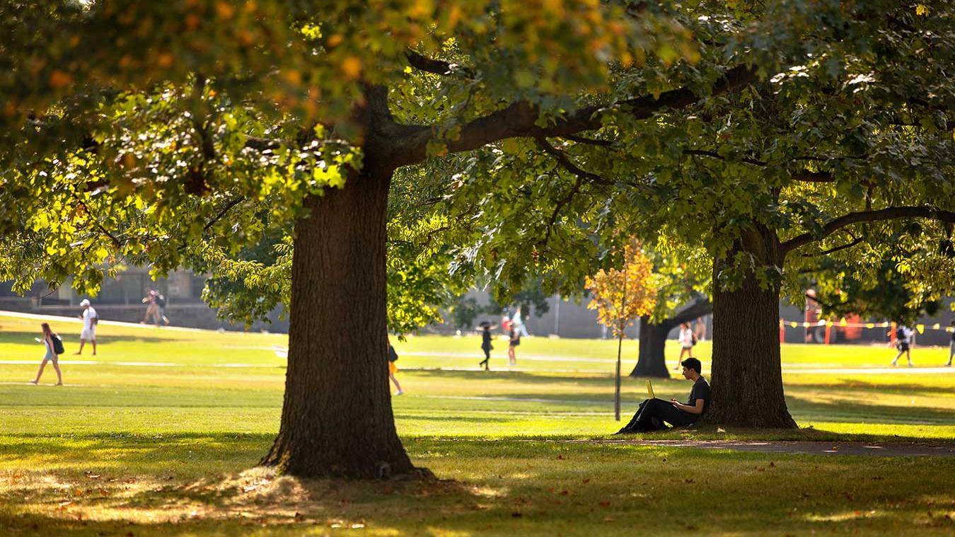Student on the Arts Quad in summer