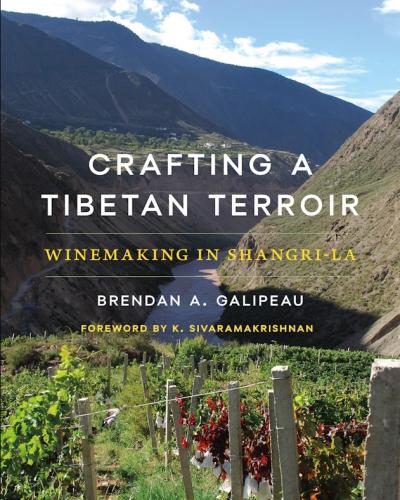 Crafting a Tibetan Terroir: Winemaking in Shangri-La