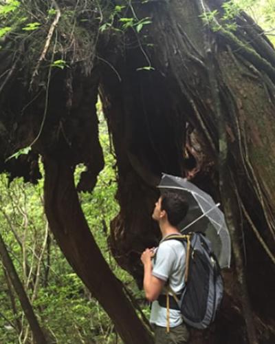 Alex Hutchins in the forests of Yakushima, off the southern coast of Kyushu